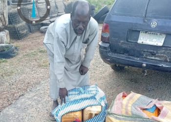 Nigerian Army Captures Three Suspected Boko Haram Suppliers in Borno