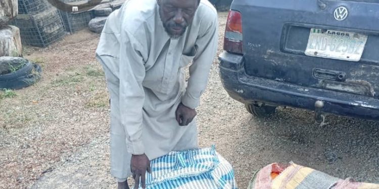 Nigerian Army Captures Three Suspected Boko Haram Suppliers in Borno