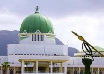 Reps Raise Alarm Over Terror Threats to Bomb National Assembly
