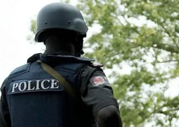 Police Arrest Suspected Kidnapper, Rescue Two Children in Bauchi