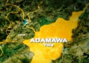 71-Year-Old Adamawa Man Arrested for Stabbing Wife to Death After Domestic Dispute