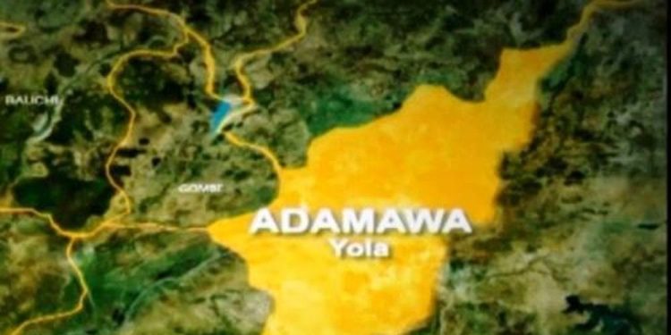 71-Year-Old Adamawa Man Arrested for Stabbing Wife to Death After Domestic Dispute