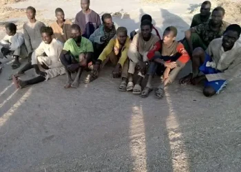 37 Kidnap Victims Regain Freedom in Katsina
