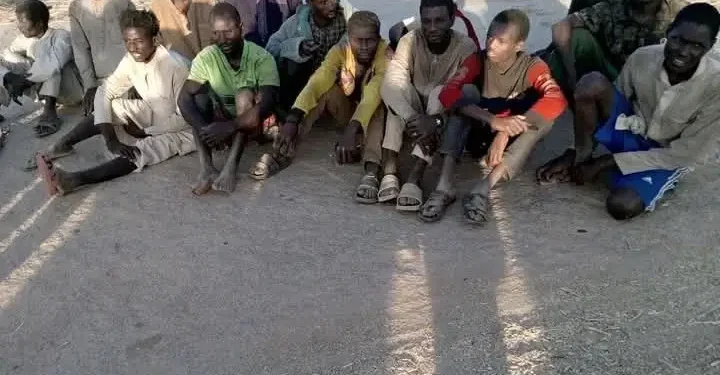 37 Kidnap Victims Regain Freedom in Katsina