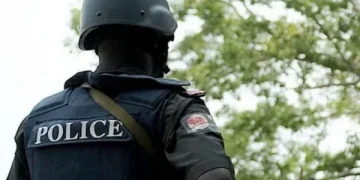Police Arrest Suspect as Three Others Flee in Kebbi Robbery Case