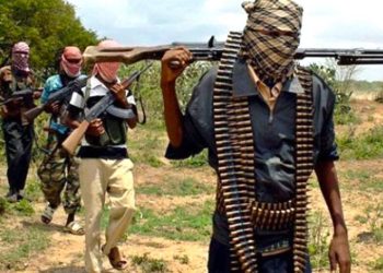 Bandits Abduct Five Nursing Mothers, Rustle Livestock in Kano Attack