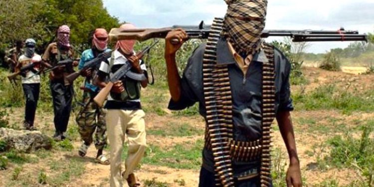 Bandits Abduct Five Nursing Mothers, Rustle Livestock in Kano Attack