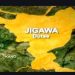 Robber Killed, Three Arrested as Police Foil Jigawa Attacks