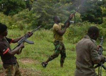 Dozens Feared Dead After Overnight Bandit Attack in Zamfara Village