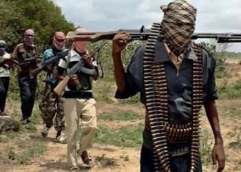 Suspected Boko Haram Attack Kills Village Head, 17 Others in Adamawa
