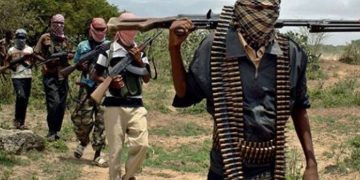 Suspected Boko Haram Attack Kills Village Head, 17 Others in Adamawa
