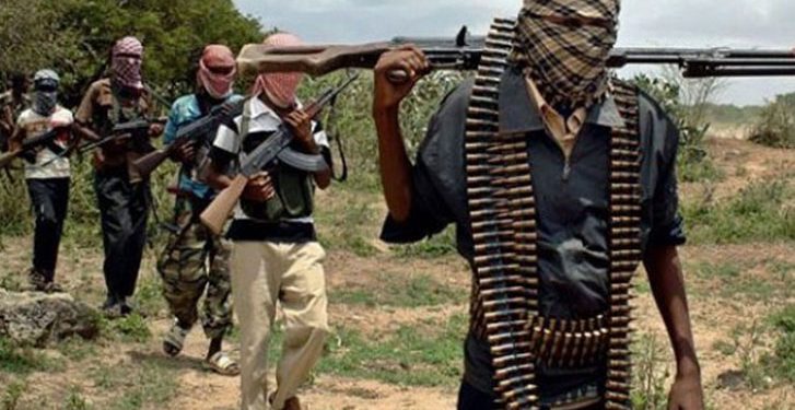 Suspected Boko Haram Attack Kills Village Head, 17 Others in Adamawa