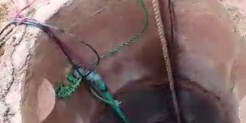 Oyo Man Dies While Trying to Rescue Goat from Deep Well