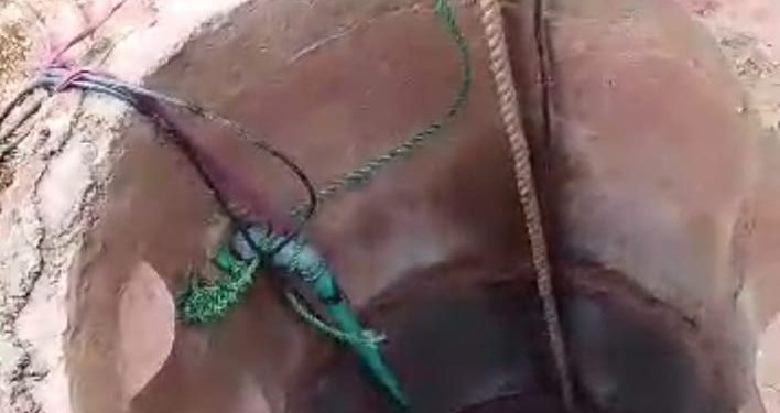 Oyo Man Dies While Trying to Rescue Goat from Deep Well