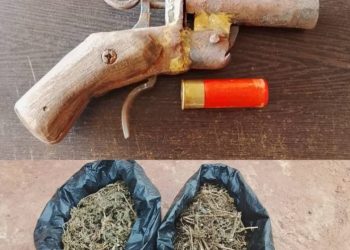 Police Arrest 15 Suspects, Recover Firearm and Drugs in Enugu Raid