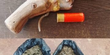 Police Arrest 15 Suspects, Recover Firearm and Drugs in Enugu Raid