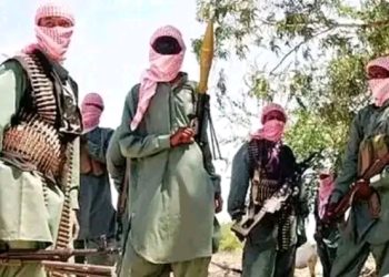 BREAKING: Bandits Kill One, Abduct Several Including Children and Pregnant Woman in Southern Kaduna