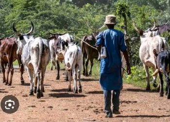 Herdsmen Attack Leaves 65-Year-Old Farmer Dead in Ogbomoso