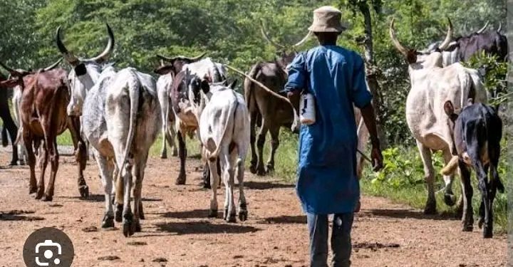 Herdsmen Attack Leaves 65-Year-Old Farmer Dead in Ogbomoso