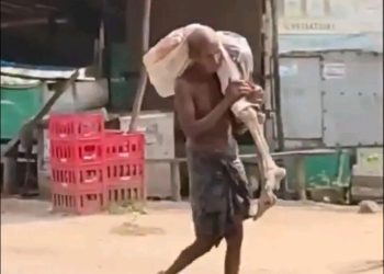 Bank shocked as Indian man digs up sister’s skeleton to claim savings