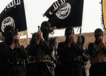We Carried Out Adamawa Attack That Killed 29 People— ISIS Claims