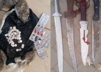 Police Arrest 193 Suspects, Recover Weapons and Drugs in Kano Raids