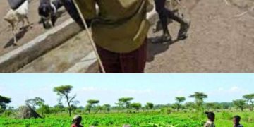 Oyo: Tension in Ibadan as suspected herders kill farmer