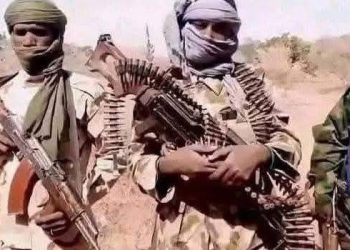Attack in Borno community claims four soldiers, one civilian