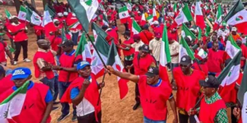 NLC Shuts Down Abuja DisCo Over Mass Layoffs, Issues 48-Hour Ultimatum
