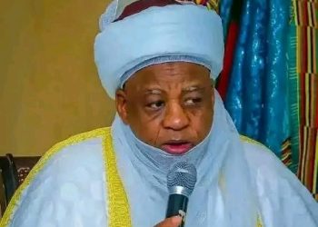 Sultan: Killers Shouting ‘Allahu Akbar’ Are Criminals, Not Muslims