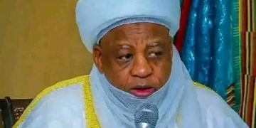 Sultan: Killers Shouting ‘Allahu Akbar’ Are Criminals, Not Muslims