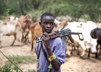 Four Killed as Suspected Herders Launch Fresh Ambush in Benue Community
