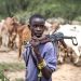 Four Killed as Suspected Herders Launch Fresh Ambush in Benue Community