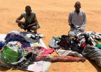 Troops Eliminate Four Insurgents, Arrest Suspected Aides in North-East Operations