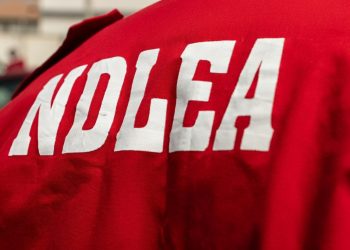 NDLEA Arrests 132 Suspects, Seizes Over 220kg of Drugs in Abuja Raids