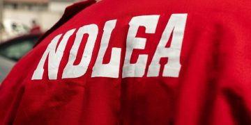 NDLEA Arrests 132 Suspects, Seizes Over 220kg of Drugs in Abuja Raids