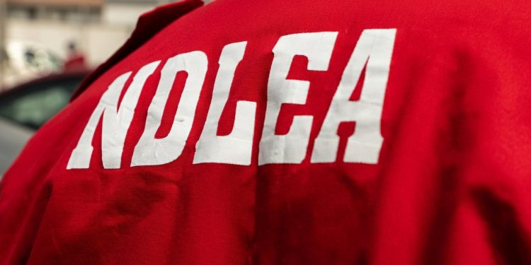 NDLEA Arrests 132 Suspects, Seizes Over 220kg of Drugs in Abuja Raids