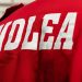 NDLEA Arrests 132 Suspects, Seizes Over 220kg of Drugs in Abuja Raids