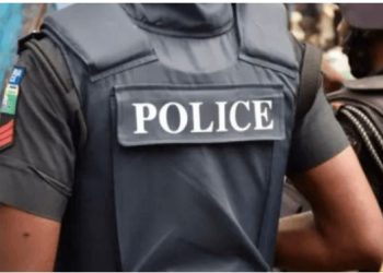 Police Urge Nigerians to Report Officers Without Name Tags