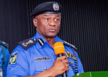 IGP: Police Not Responsible for Delay in State Police Creation