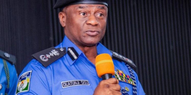 IGP: Police Not Responsible for Delay in State Police Creation