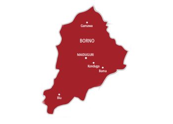 Borno Stakeholders Appeal for Release of 42 Abducted Schoolchildren