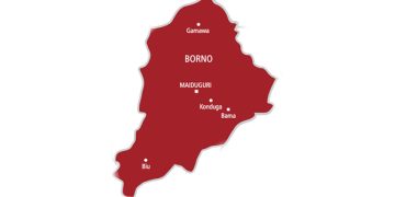 Borno Stakeholders Appeal for Release of 42 Abducted Schoolchildren