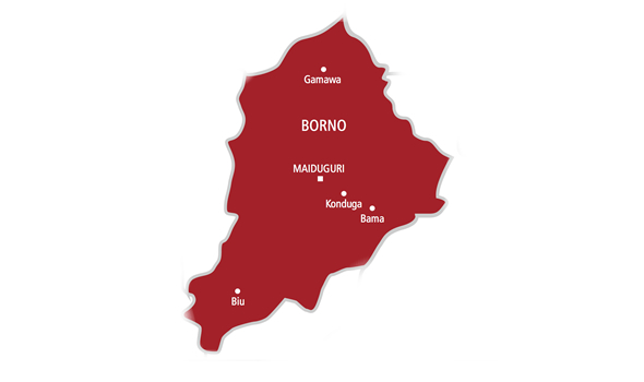 Borno Stakeholders Appeal for Release of 42 Abducted Schoolchildren
