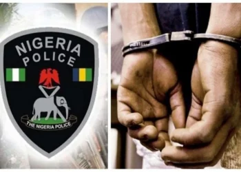 Police Arrest 21-Year-Old With Suspected Human Body Part, Firearms in Lagos