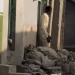 Kano Court Jails Man for Storing Bags of Human Faeces Outside His Home