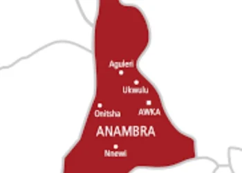 Anambra Resident Accuses INEC Officials of Collecting ₦2,000 Before Releasing PVCs