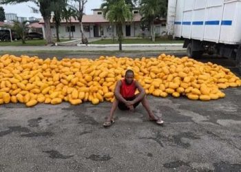 Nigerian troops intercept truck carrying suspected illicit drugs on Lagos–Calabar highway