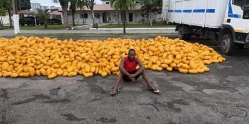 Nigerian troops intercept truck carrying suspected illicit drugs on Lagos–Calabar highway