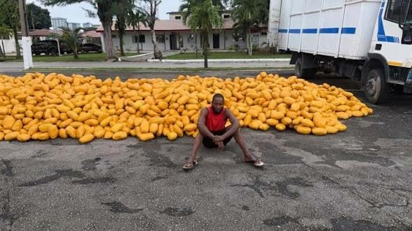Nigerian troops intercept truck carrying suspected illicit drugs on Lagos–Calabar highway